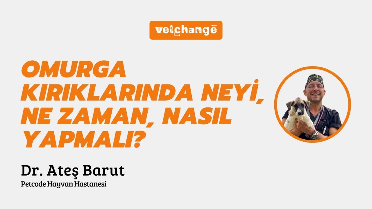 Omurga Kırıklarında Neyi, Ne Zaman, Nasıl Yapmalı? ''Dr. Ateş Barut''